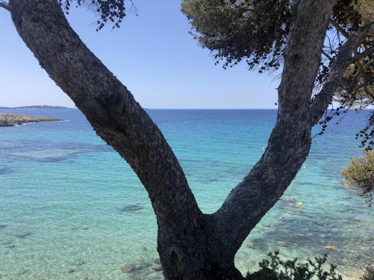 Les Baux 2 Sanary Sur Mer Exterior photo